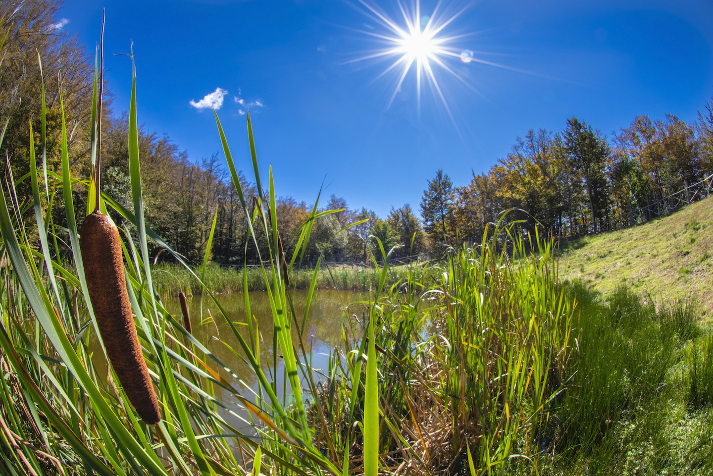 Lake of Idols Casentino